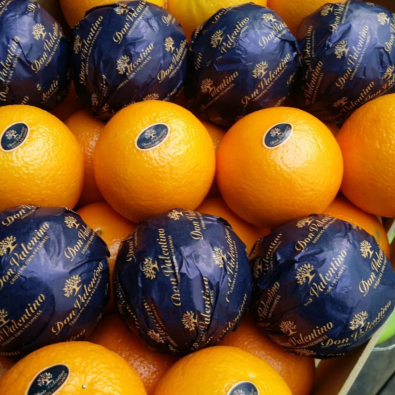 Naranjas-GoFruit